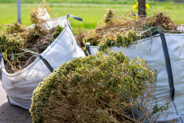 Best Professional Junk Removal  in Mahtomedi, MN